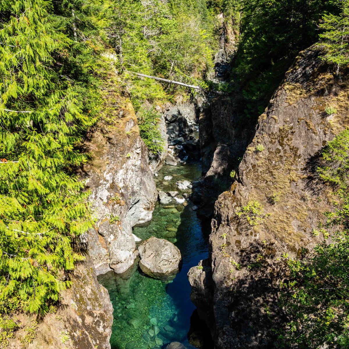 Driving the Pacific Marine Circle&nbsp;Loop