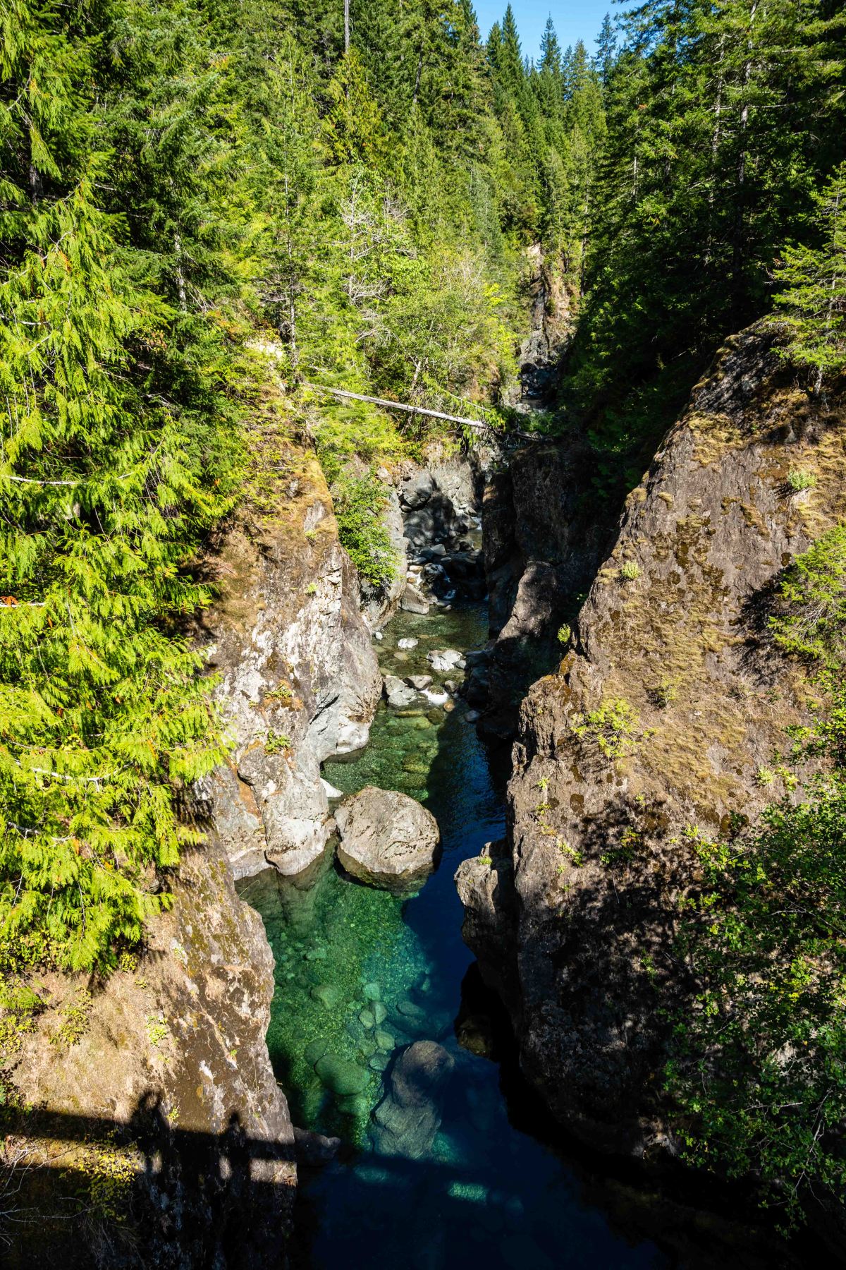 Driving the Pacific Marine Circle&nbsp;Loop