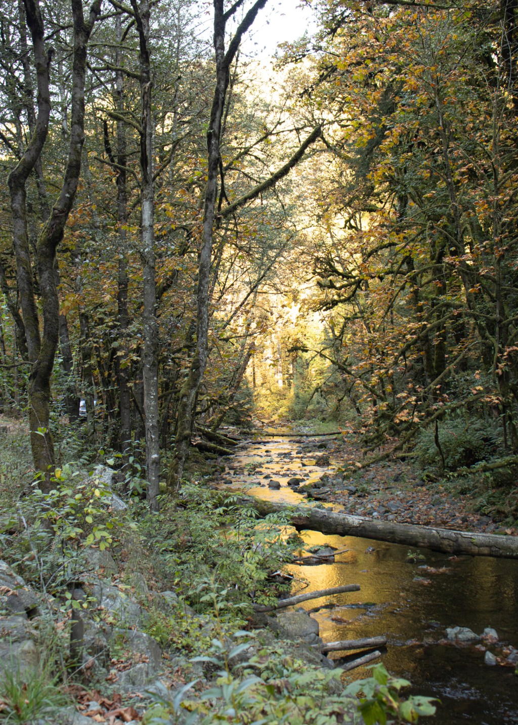 South Vancouver Island