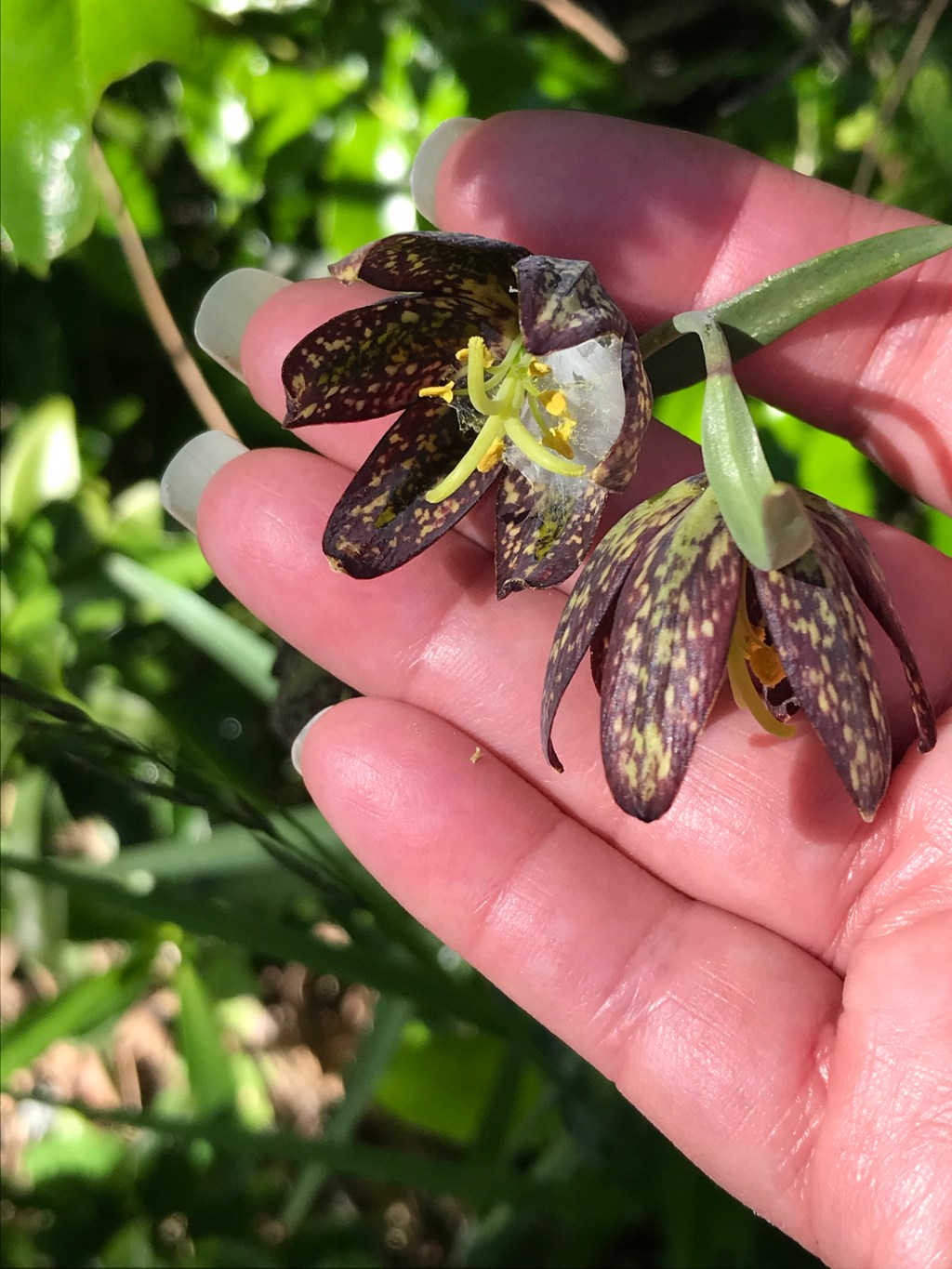 Our Stomping Grounds We Call&nbsp;Home