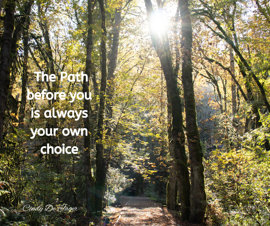 Each step along the path in the old growth forest was an immersive experience. The Energy of the forest wraps itself around you and slows your heart rate, you breathe in peacefulness and serenity.