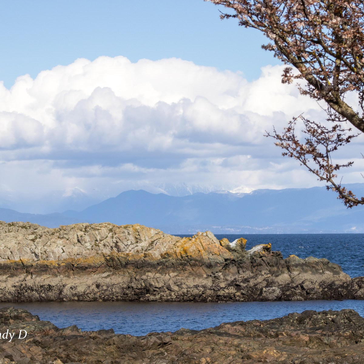 A Walk in Neck Point Park,&nbsp;Nanaimo