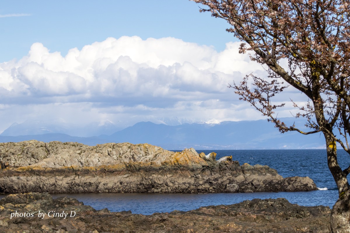 A Walk in Neck Point Park,&nbsp;Nanaimo