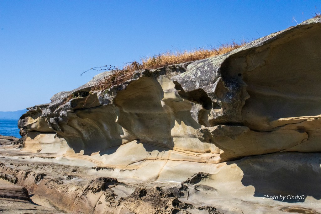 Top Destinations on Gabriola Island: Beaches and&nbsp;Parks