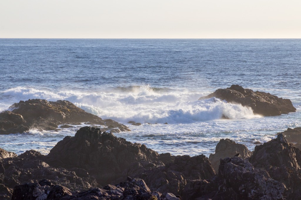West Vancouver Island
