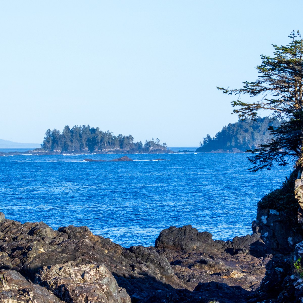 Ucluelet And Tofino