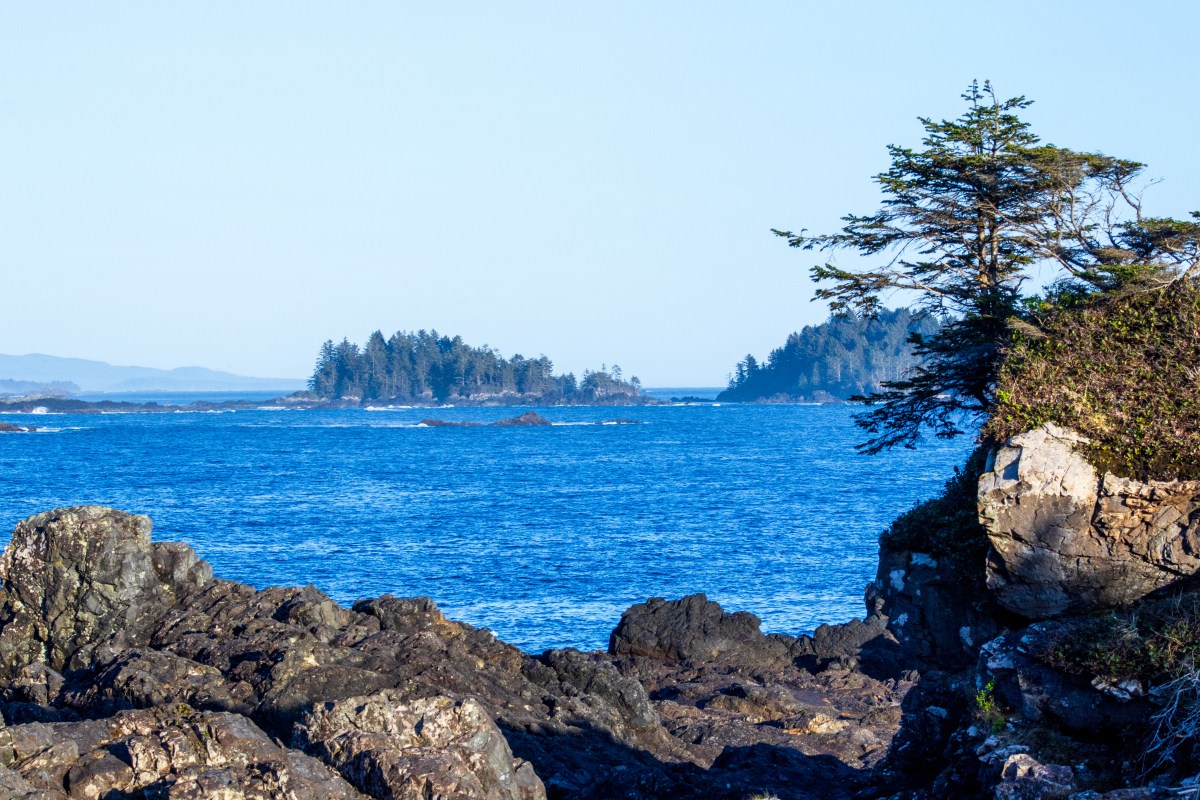 Ucluelet And Tofino