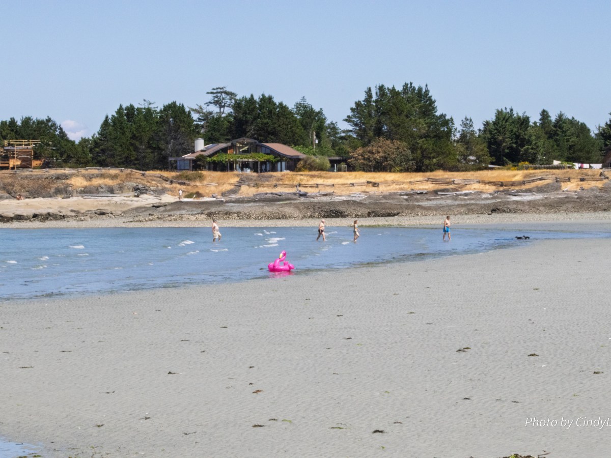 Exploring Denman and Hornby Islands: A Perfect Day&nbsp;Trip