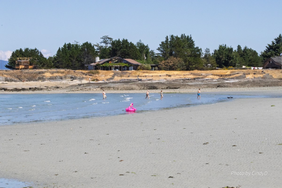 Exploring Denman and Hornby Islands: A Perfect Day&nbsp;Trip