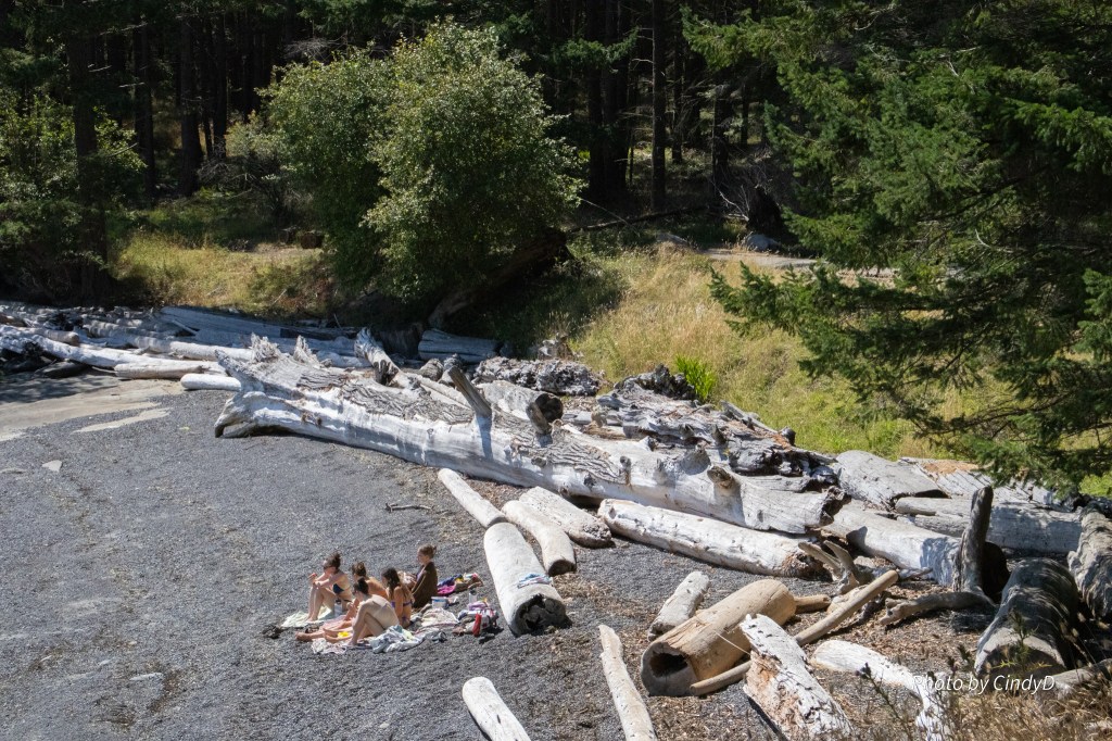 Photographers On Board