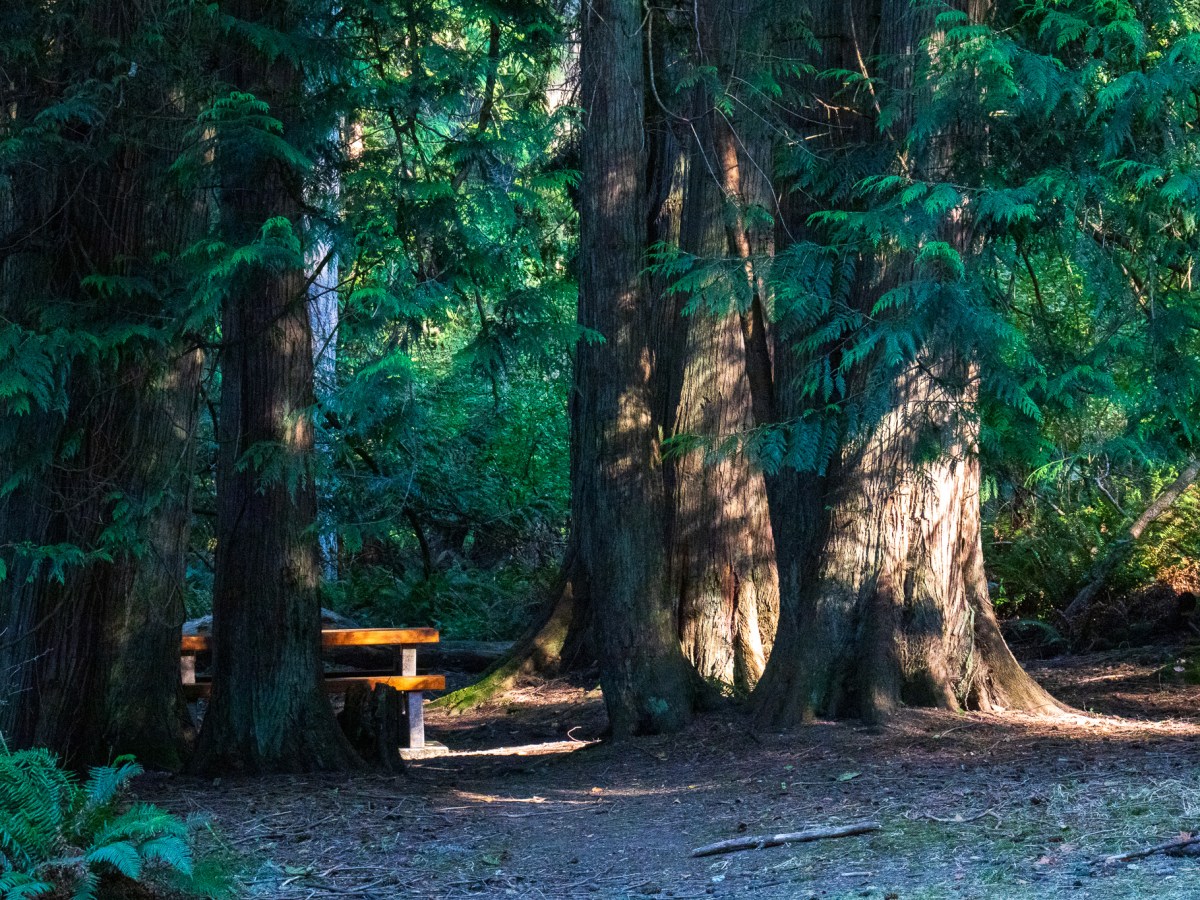 A Day on Salt Spring&nbsp;Island