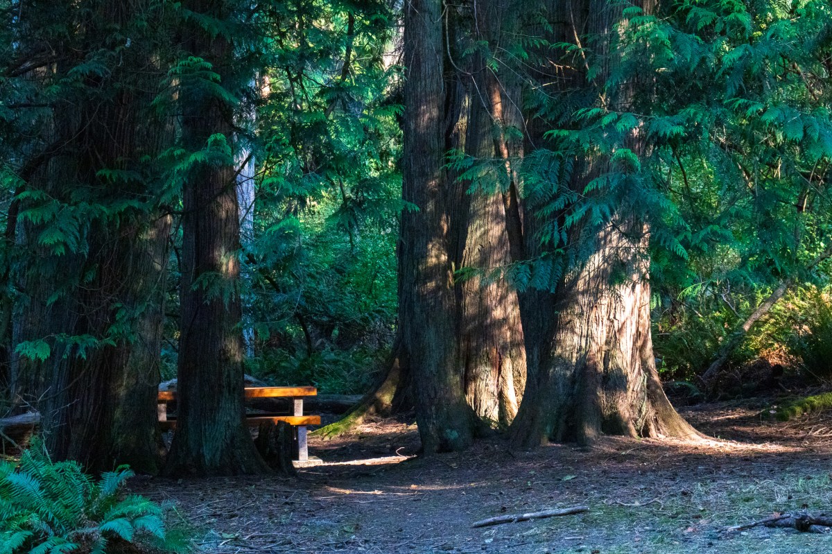 A Day on Salt Spring&nbsp;Island