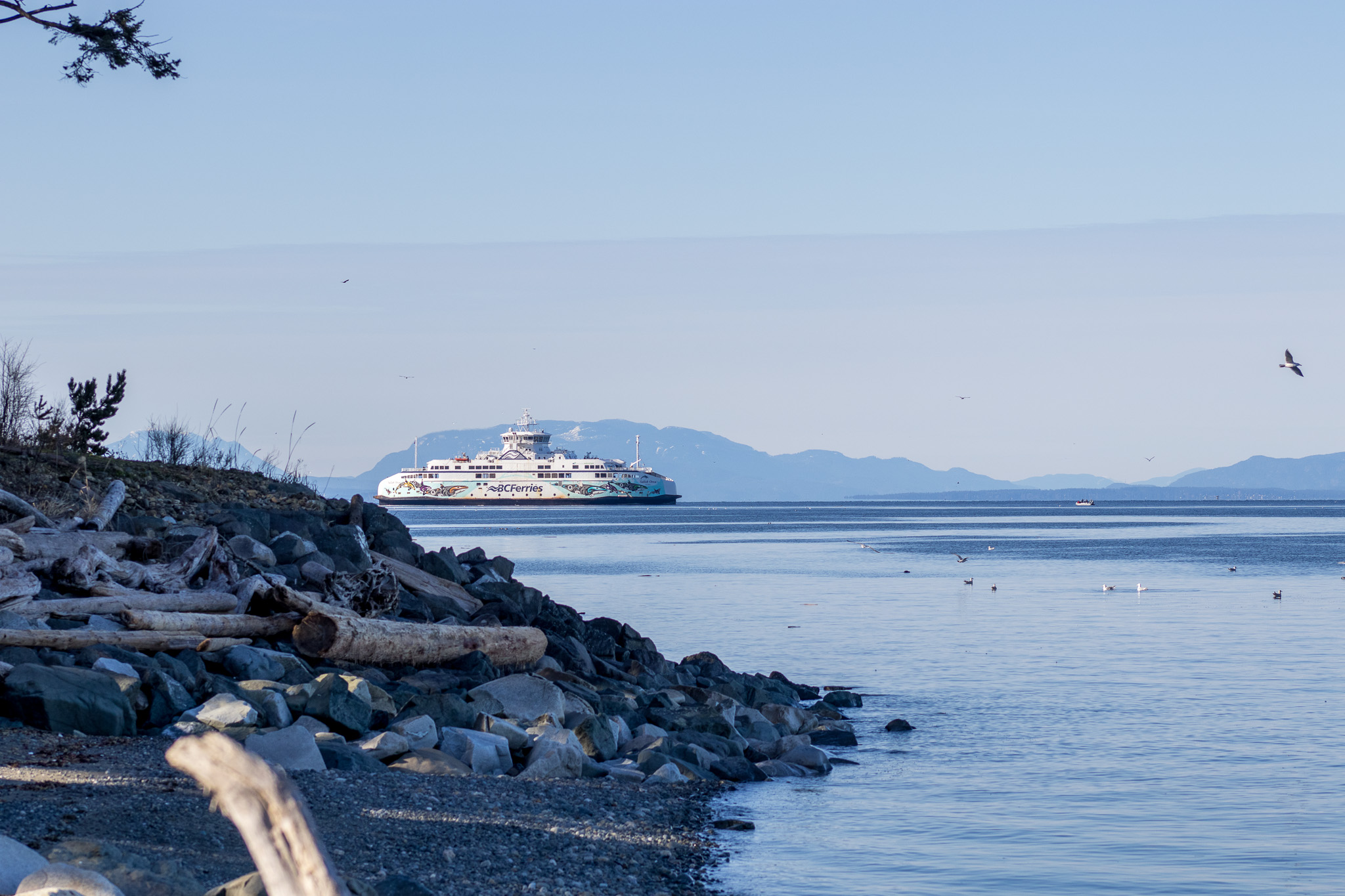 A BC Ferry in the distance; the blue ocean and mountains in the background.
