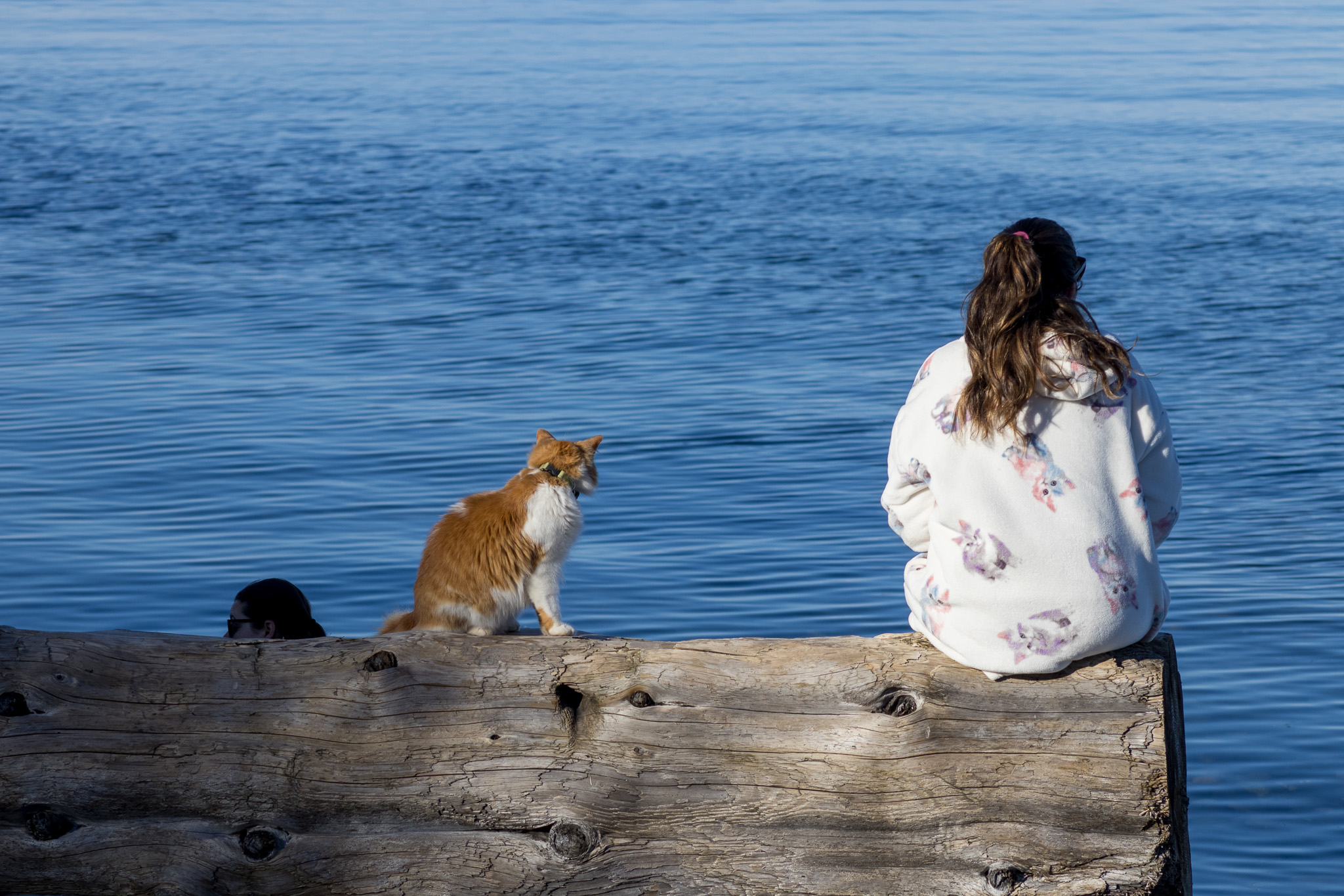 A cat and a woman sit together on a driftwood log looking out at the deep blue ocean.