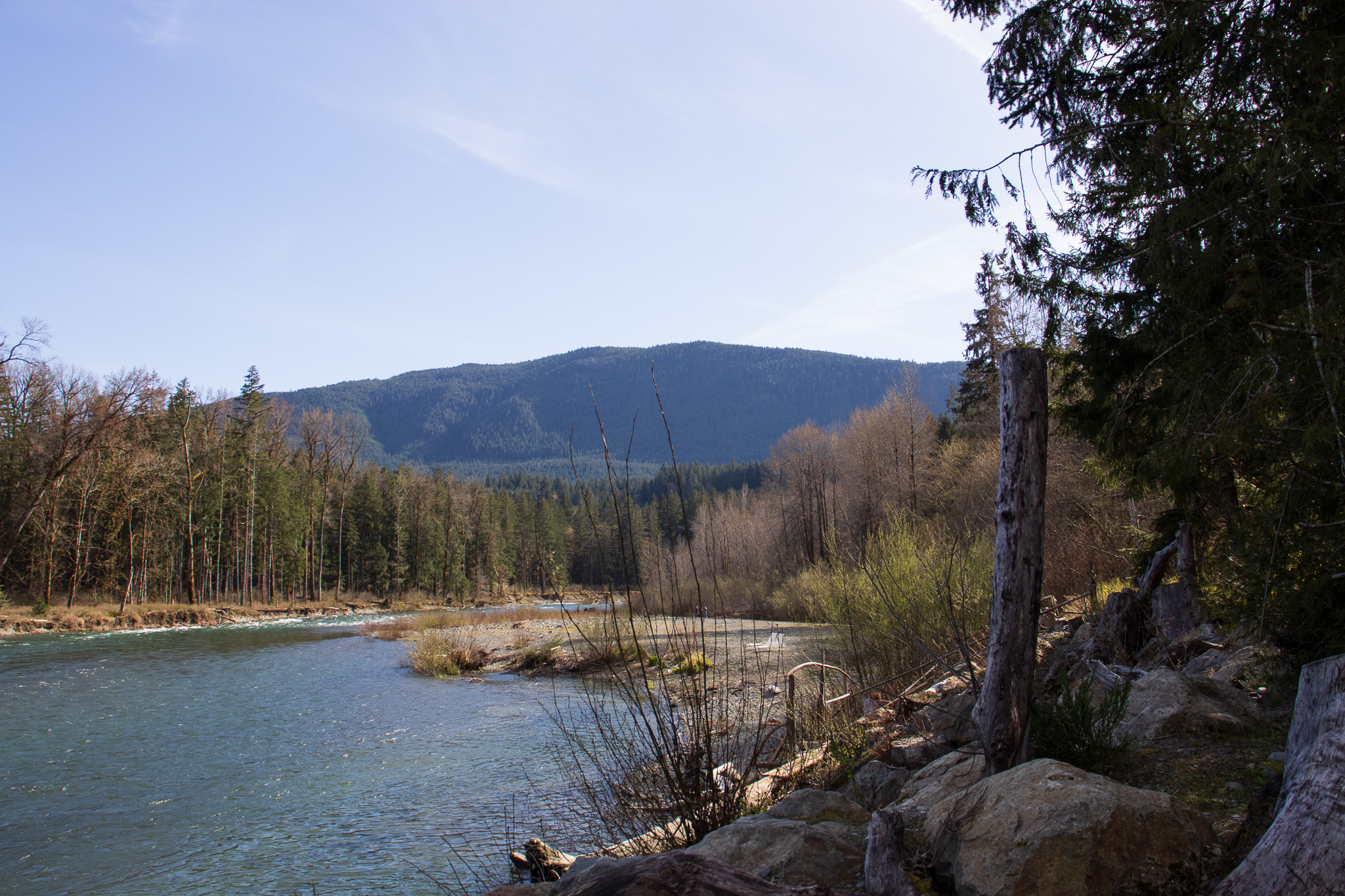 A gentle, peaceful forest river basin with a mountain in the background.