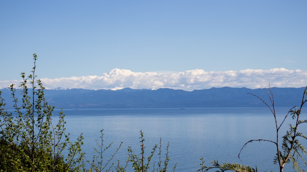 Pacific Marine Coastal&nbsp;Drive
