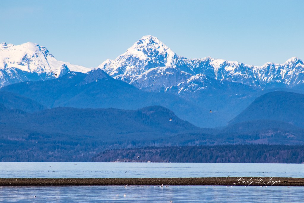 A Scenic Drive Along the Hwy&nbsp;19A