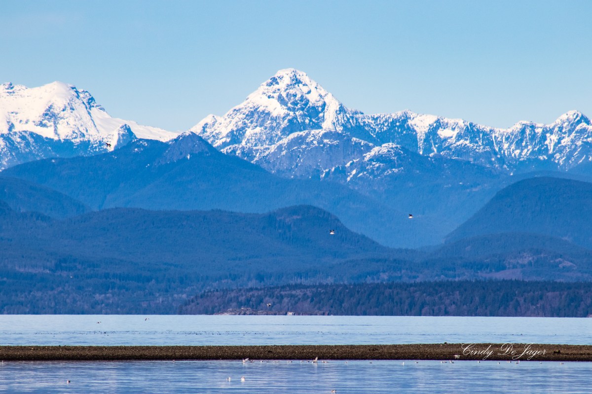 A Scenic Drive Along the Hwy&nbsp;19A