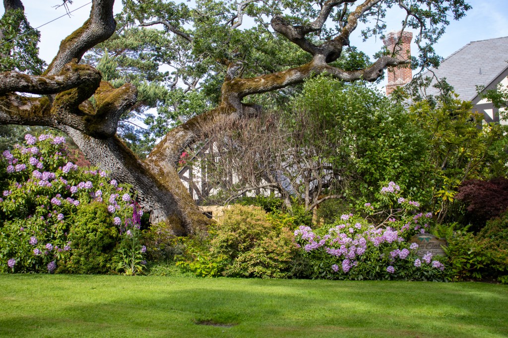 Victoria – Foliage, Water, Wind, and Adventure