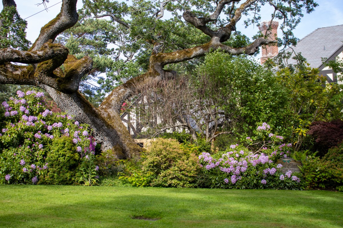 Victoria – Foliage, Water, Wind, and&nbsp;Adventure