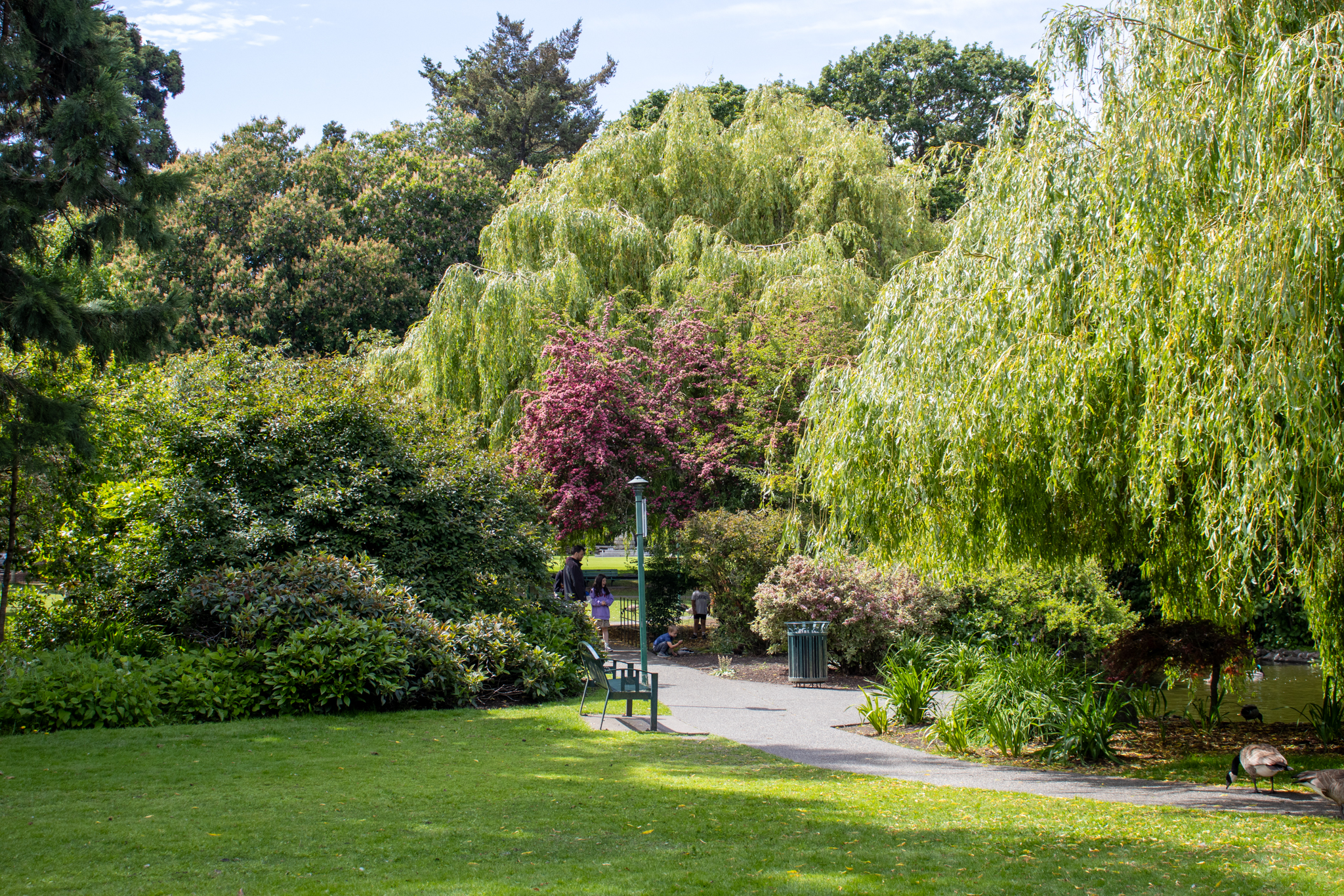 A park path surrounded by lush green trees and shrubs, with people walking and a few ducks near a pond