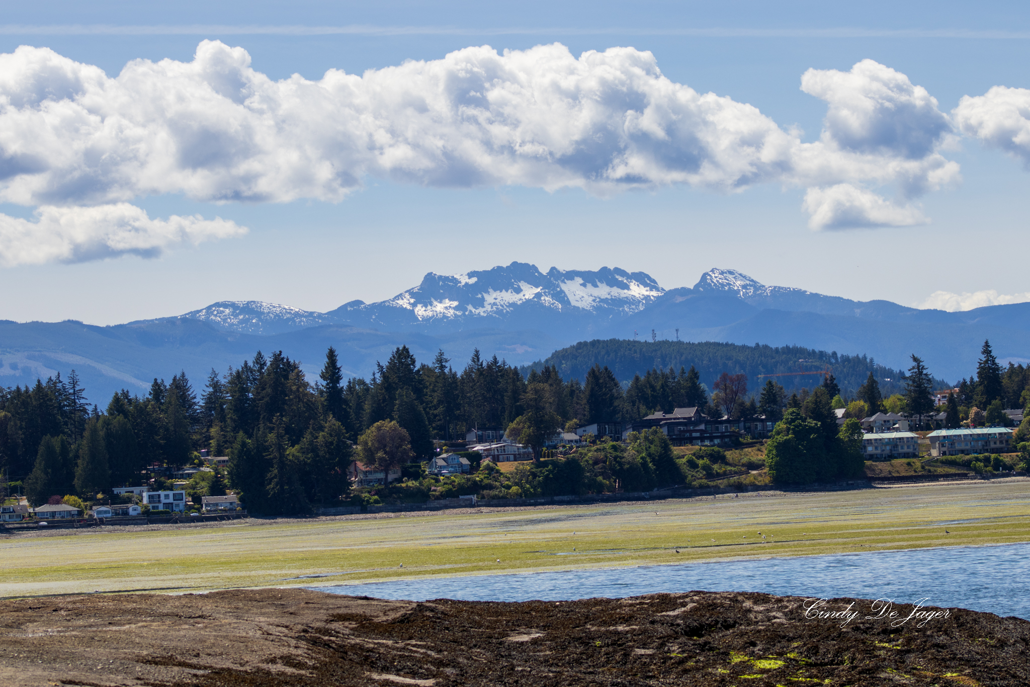 Calm coastal water with a strip of shoreline homes and evergreen trees, backed by rugged snow‑capped mountains under a partly cloudy sky.