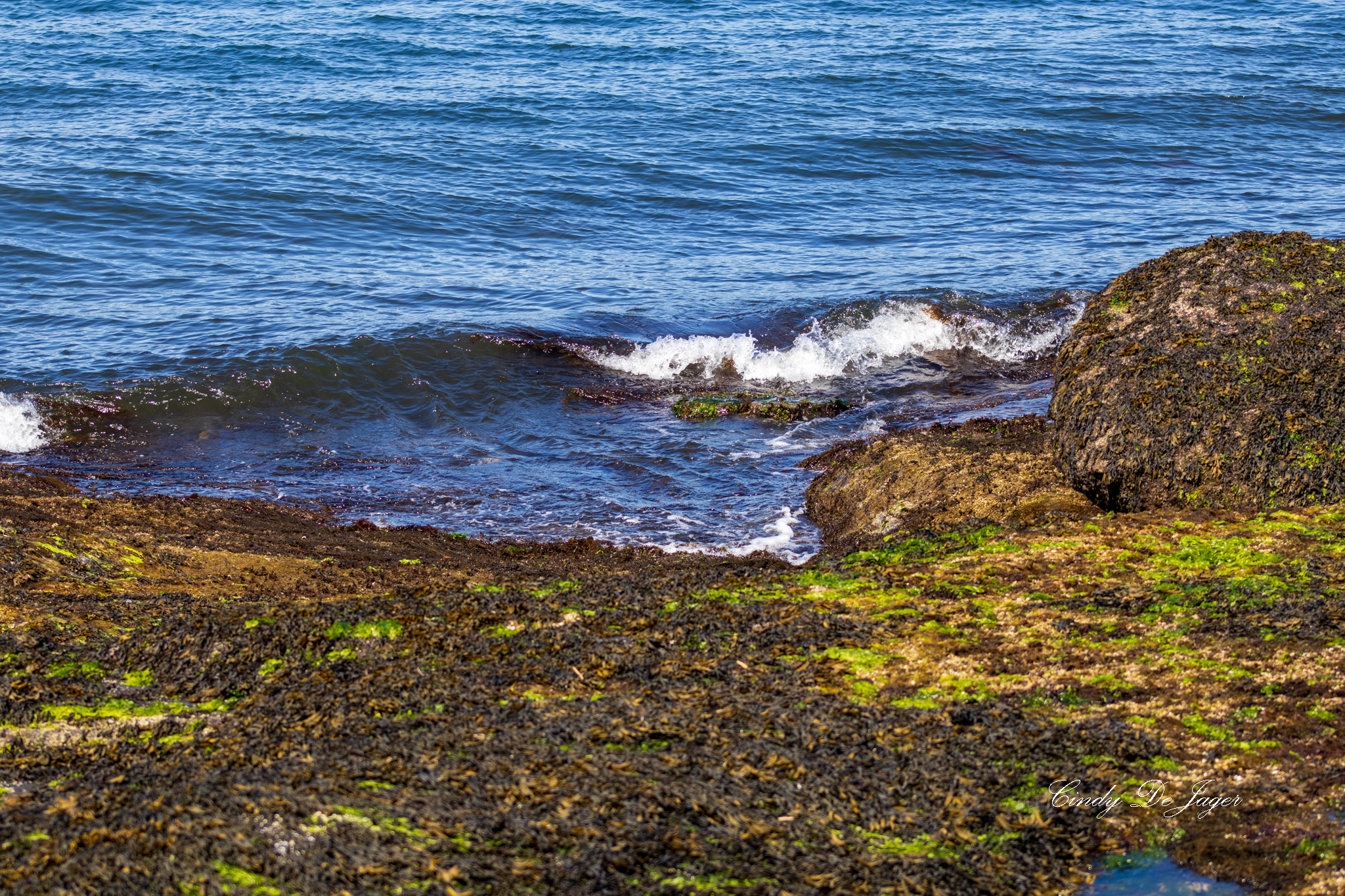 A wave breaking on the shoreline — the coastline breathing in motion.