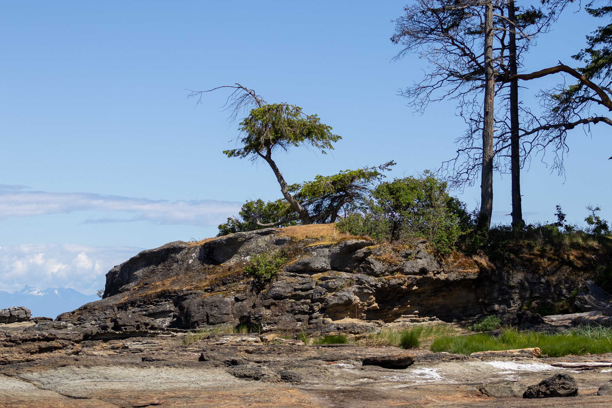 This image shifts from human presence to the land’s own stance — shaped by wind, salt, and time.
