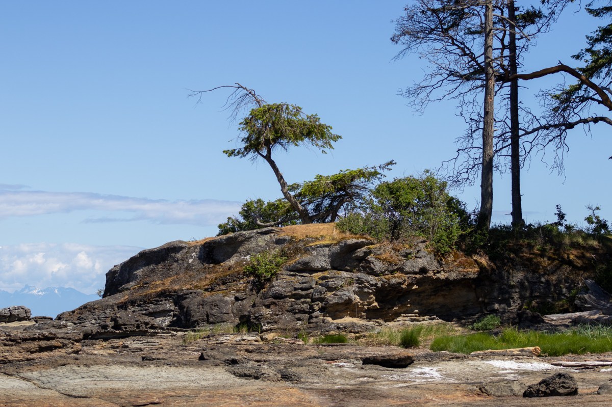 Coastal Stories: Photography of the Shoreline’s Essence