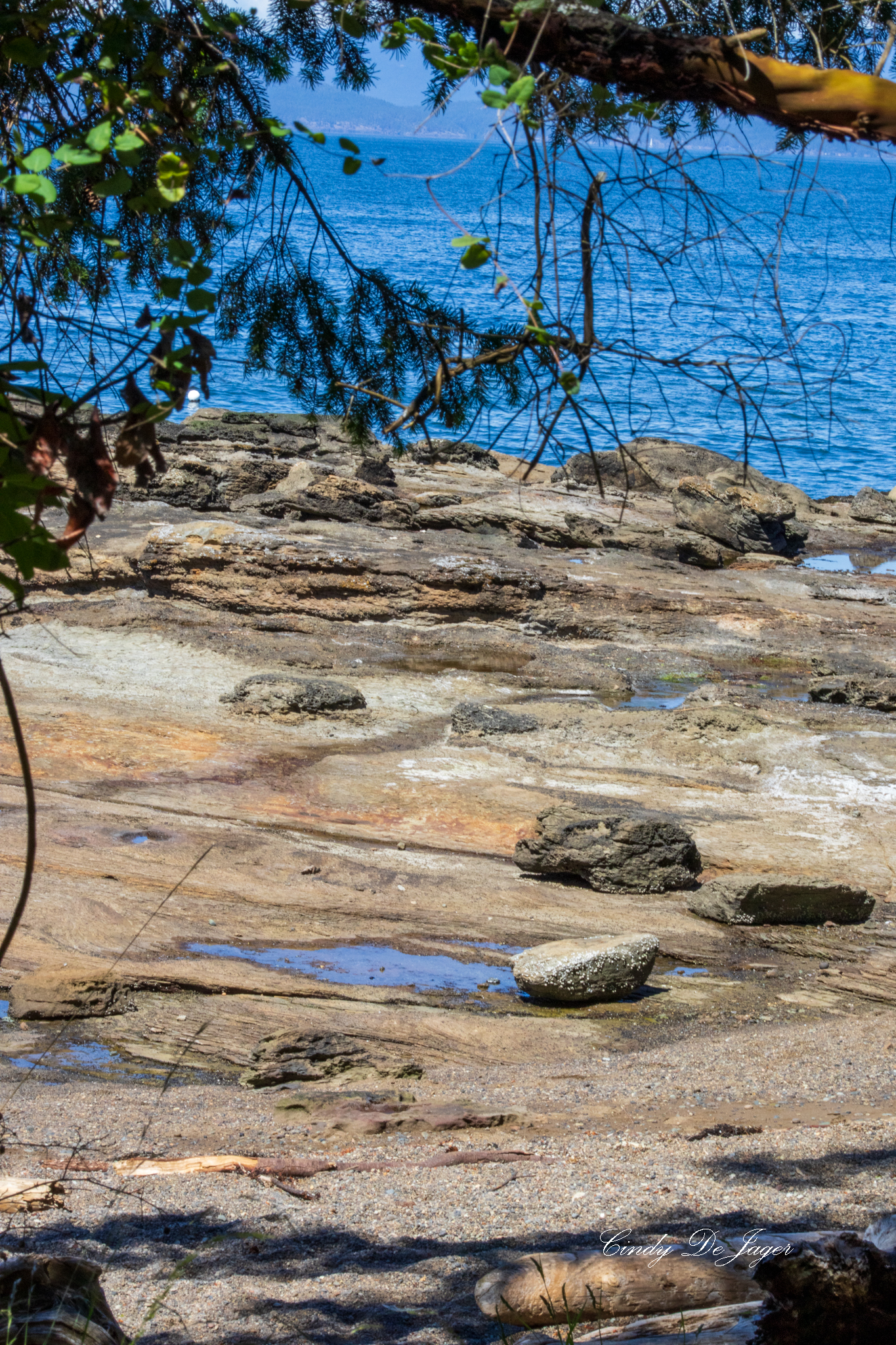 Coastal rock formations and tidepools at Madrona Park in Nanoose Bay, framed by tree branches with ocean and distant hills beyond.