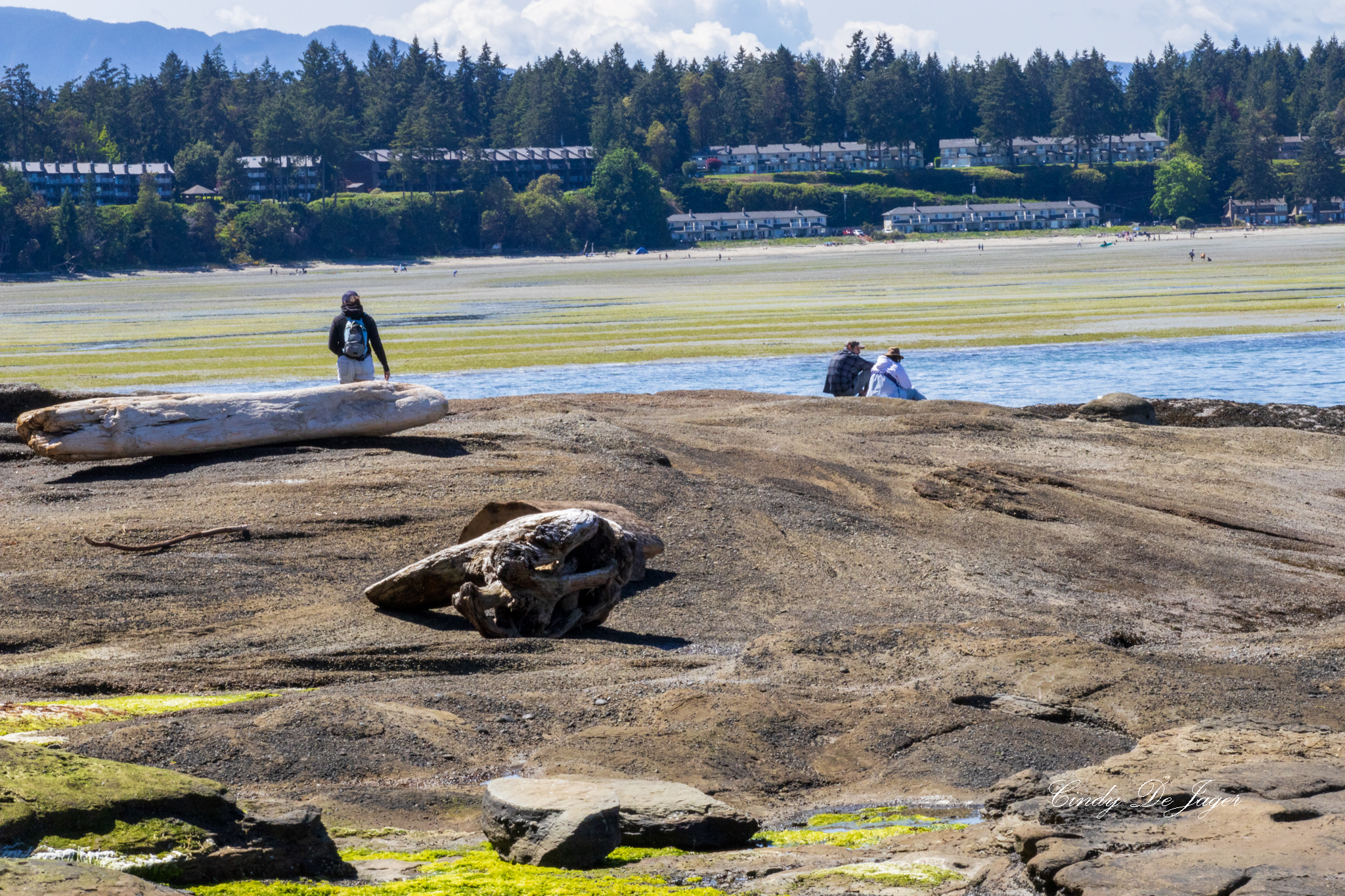 Madrona Park shoreline with driftwood, tidepools, and views of Nanoose Bay homes and forested hills under a partly cloudy sky.