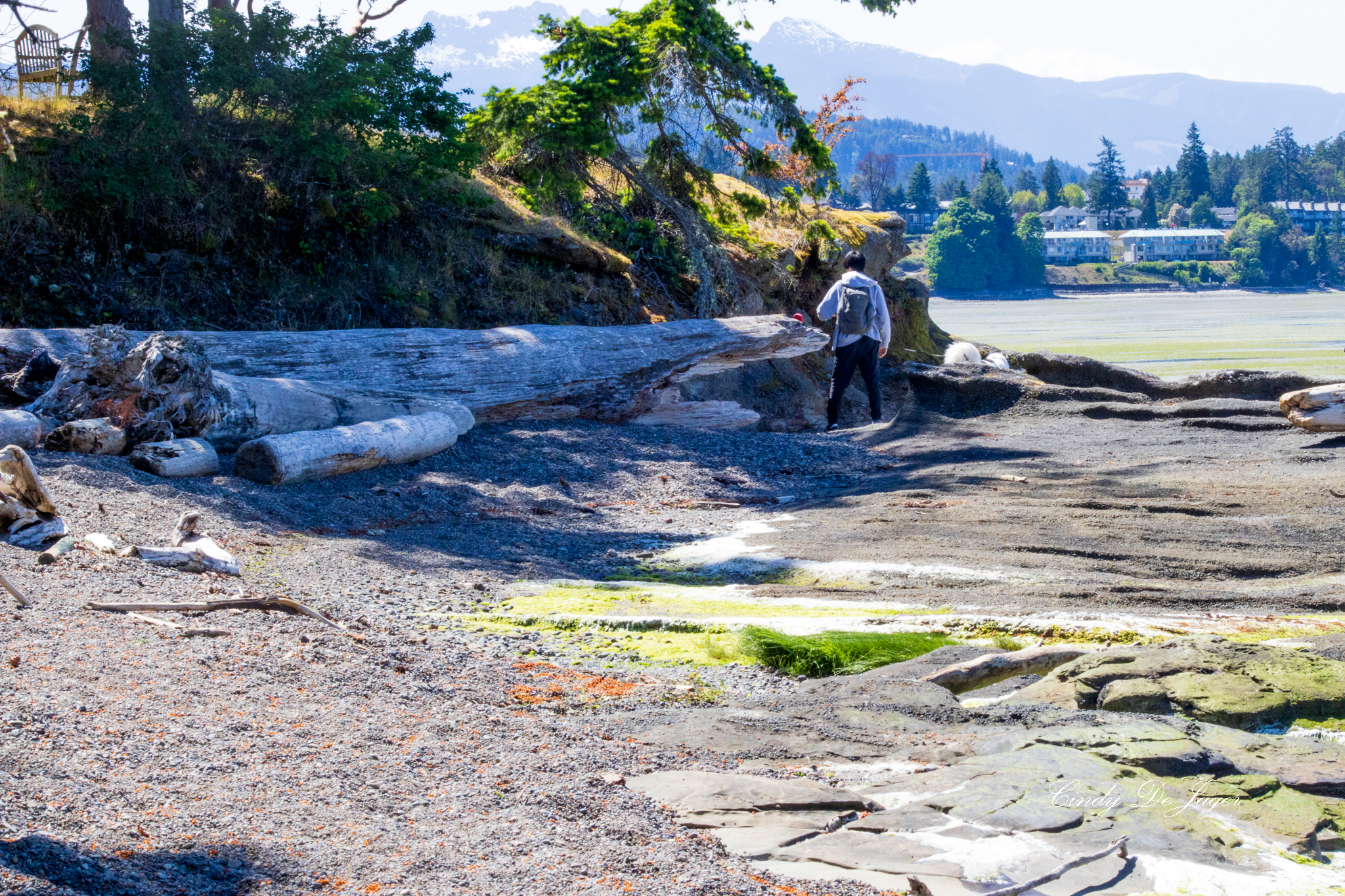 Madrona Park shoreline with driftwood, rocky tidepool textures, and views across Nanoose Bay toward forested bluffs and snow‑capped mountains.
