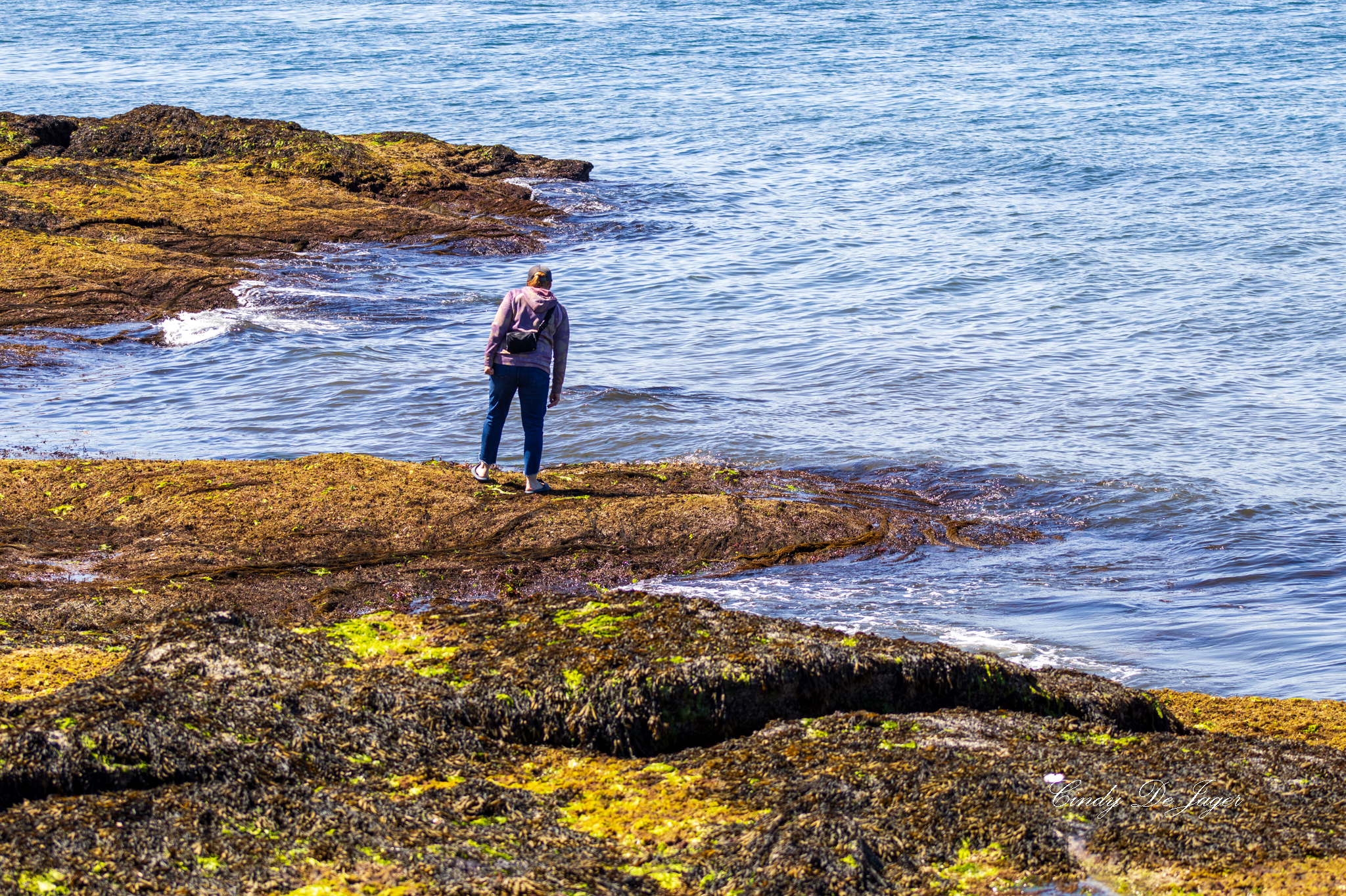 Hiker on the rocky, seaweed‑covered shoreline at Madrona Park in Nanoose Bay, facing the calm ocean.