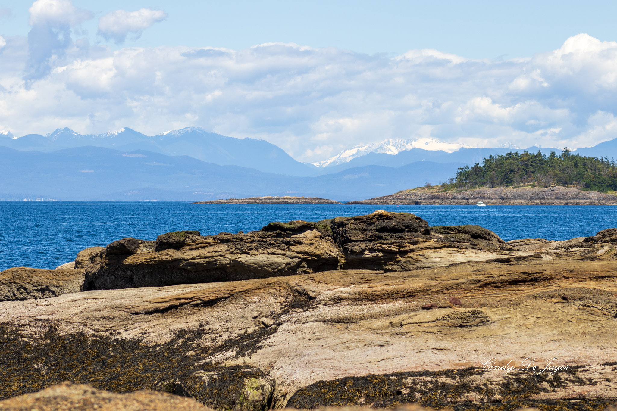 Rocky shoreline with tide‑washed formations in the foreground, calm blue water, a small forested island, and distant snow‑capped mountains under a partly cloudy sky.