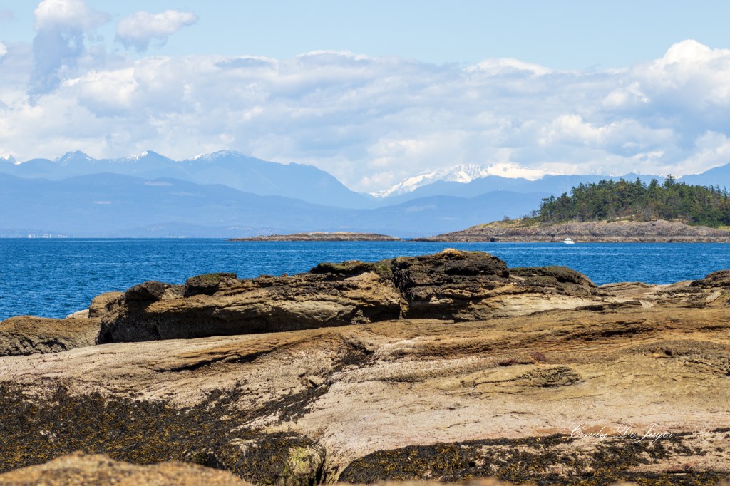 Rocky shoreline with tide‑washed formations in the foreground, calm blue water, a small forested island, and distant snow‑capped mountains under a partly cloudy sky.