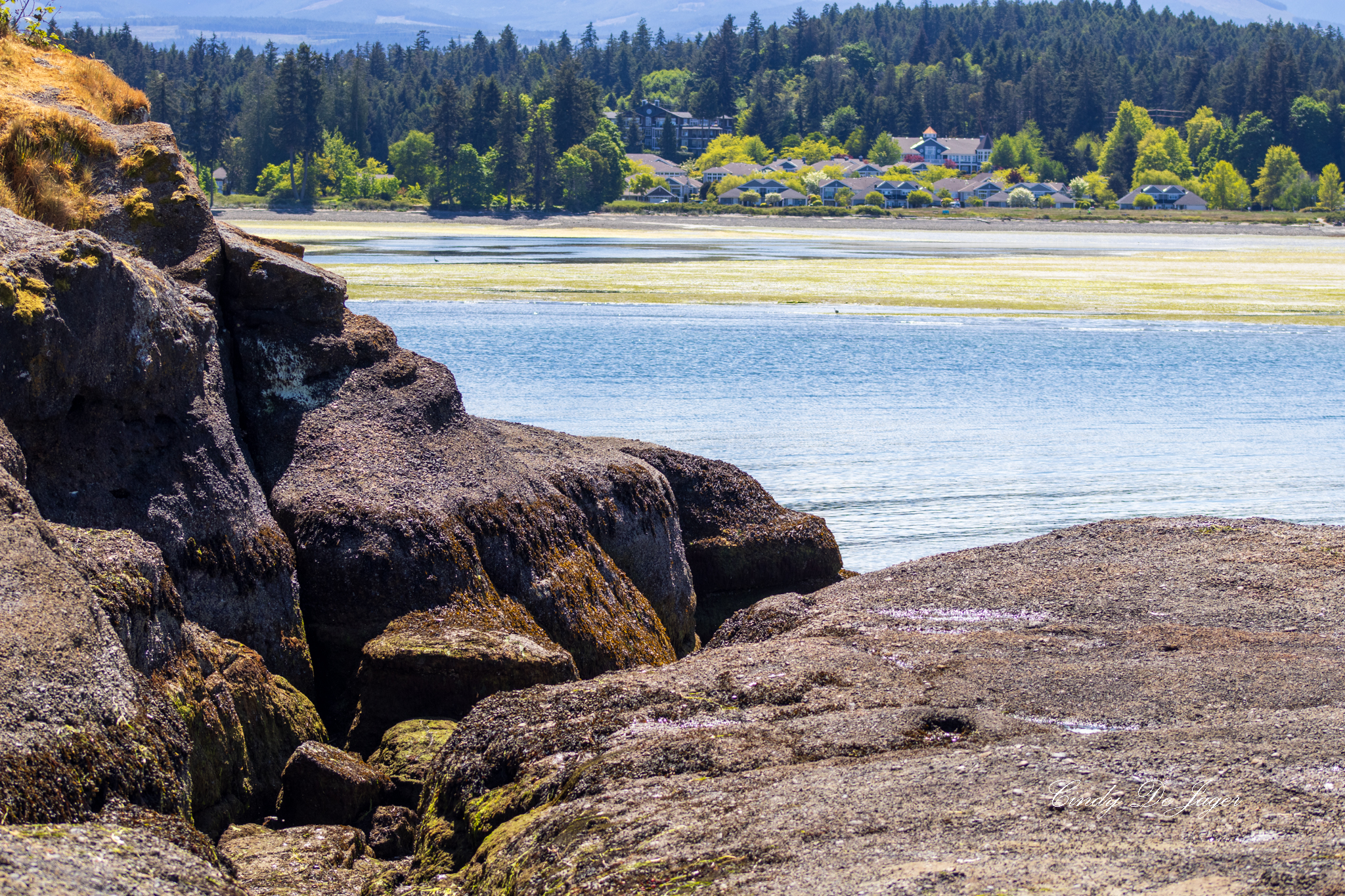 Large weathered rock formations with patches of moss beside calm bay water, with houses and forested hills visible across the shoreline.